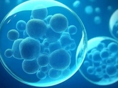 廣州達(dá)博生物創(chuàng)新藥自體自然殺傷細(xì)胞注射液（E10H）I期臨床首例受試者入組