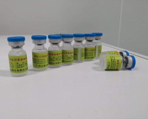 重組人內(nèi)皮抑素腺病毒注射液(E10A)