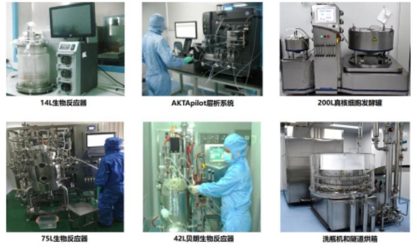 達博生物 CDMO 服務平臺