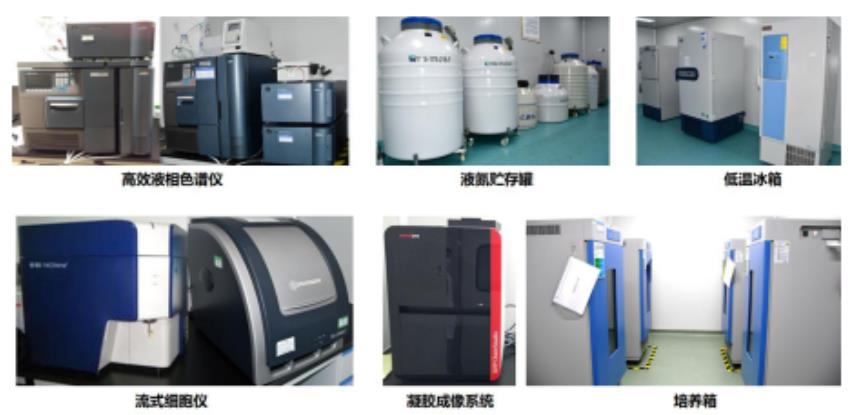 達博生物 CDMO 服務平臺