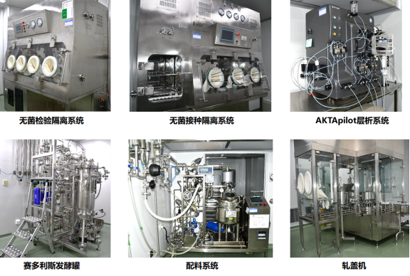 原核細胞研發和生產平臺