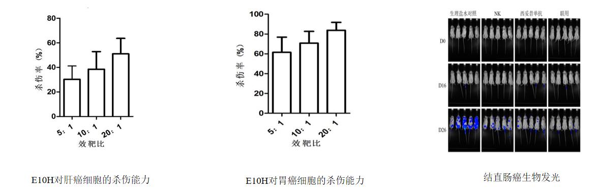 E10H臨床前藥效研究