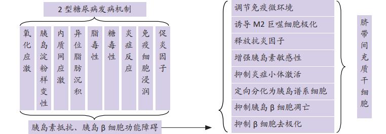 人臍帶間充質干細胞(E10I)注射液