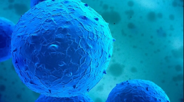 達博生物人臍帶間充質干細胞Ⅰ期臨床研究啟動會順利召開！