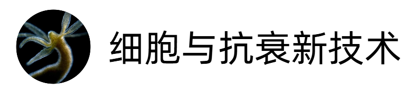 細胞與抗衰新技術
