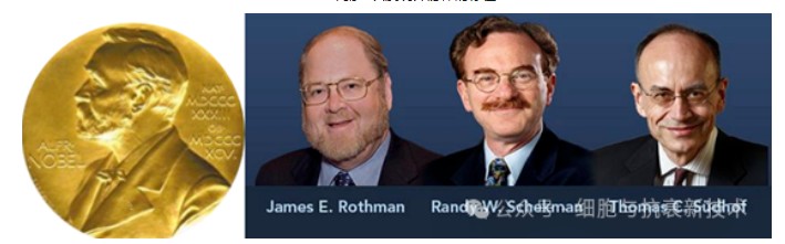 2013年諾貝爾生理學或醫學獎獲得者